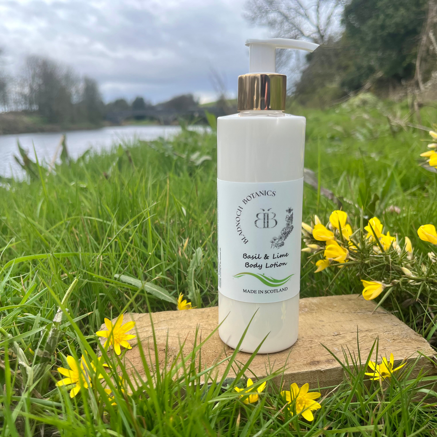 Basil & Lime Body Lotion