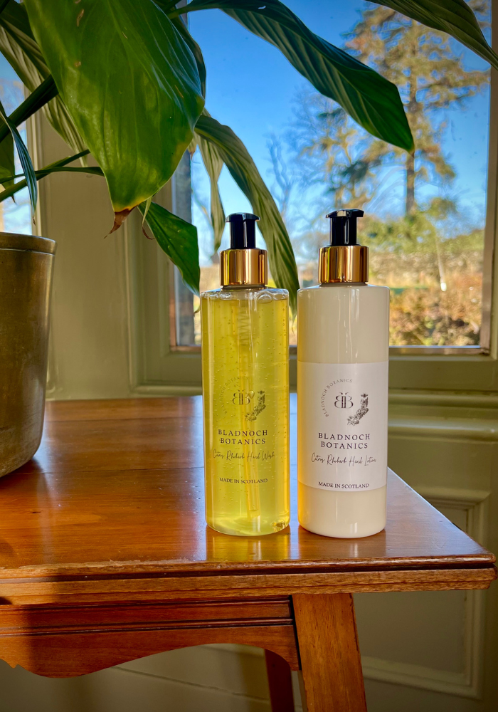 Citrus Rhubarb Hand Wash & Hand Lotion