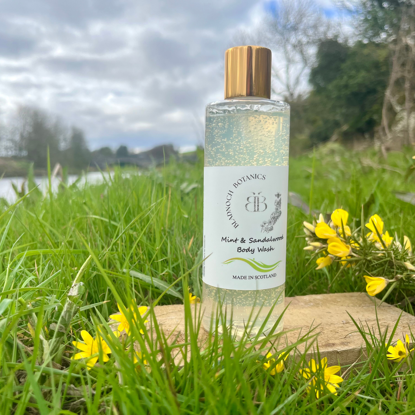 Mint & Sandalwood Body Wash
