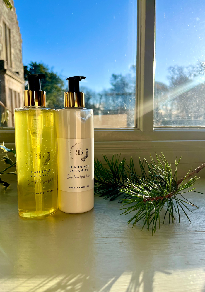 Scots Pine Hand Wash & Hand Lotion