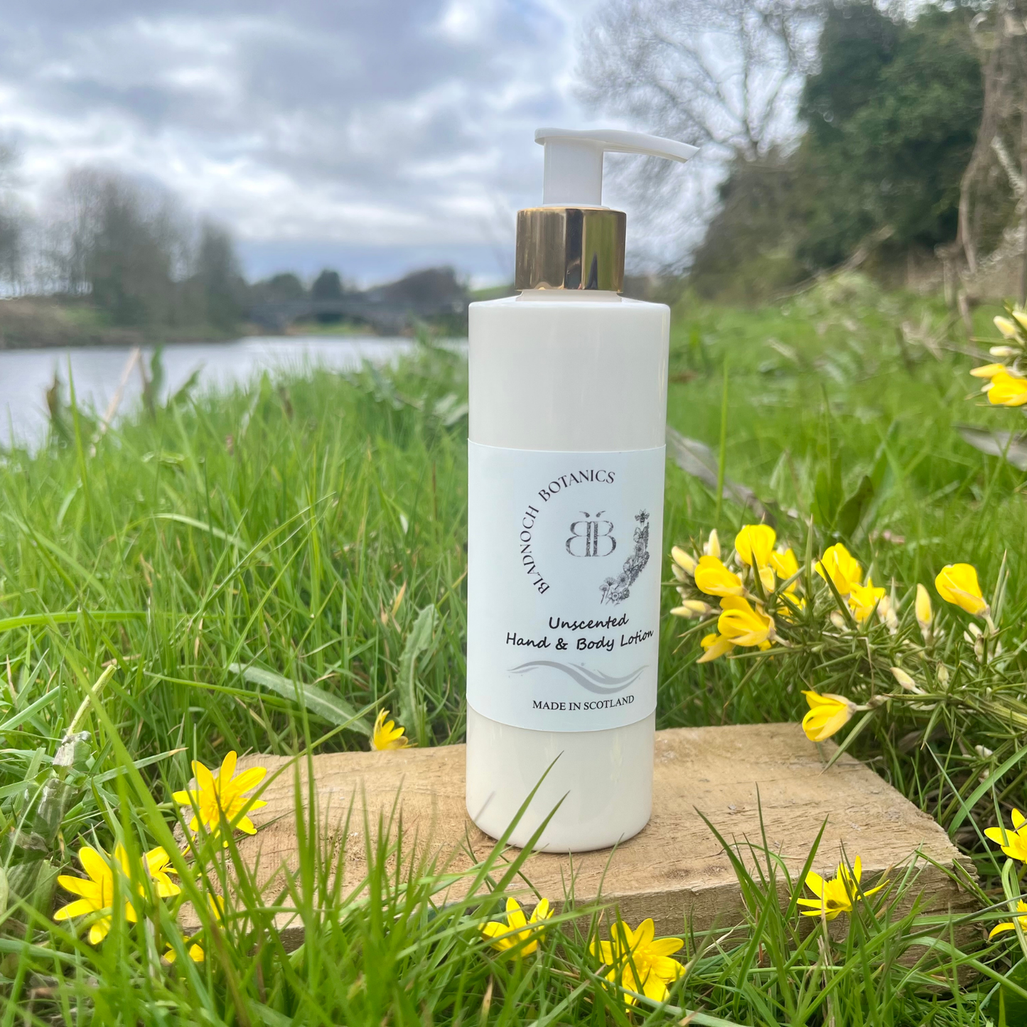Unscented Hand & Body Lotion