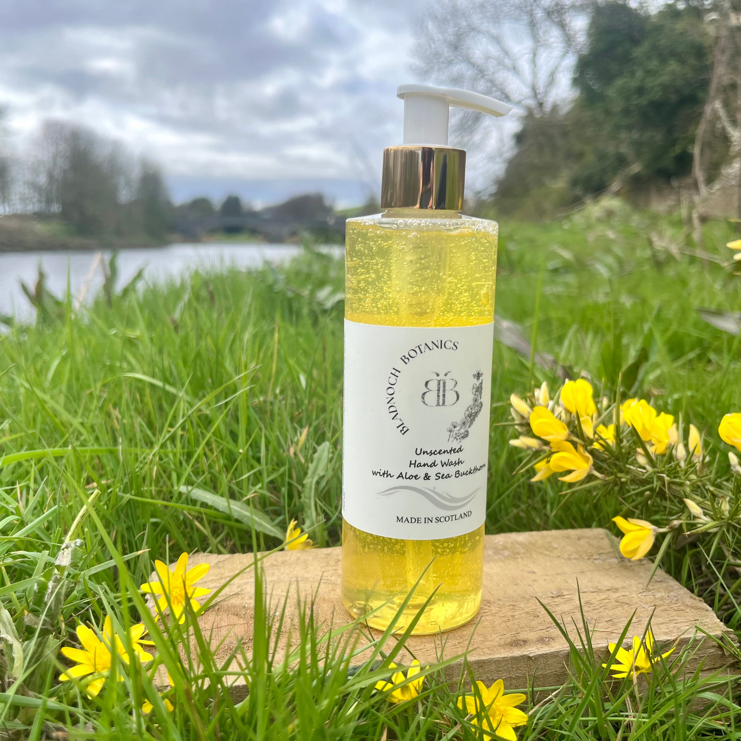 Unscented Hand Wash