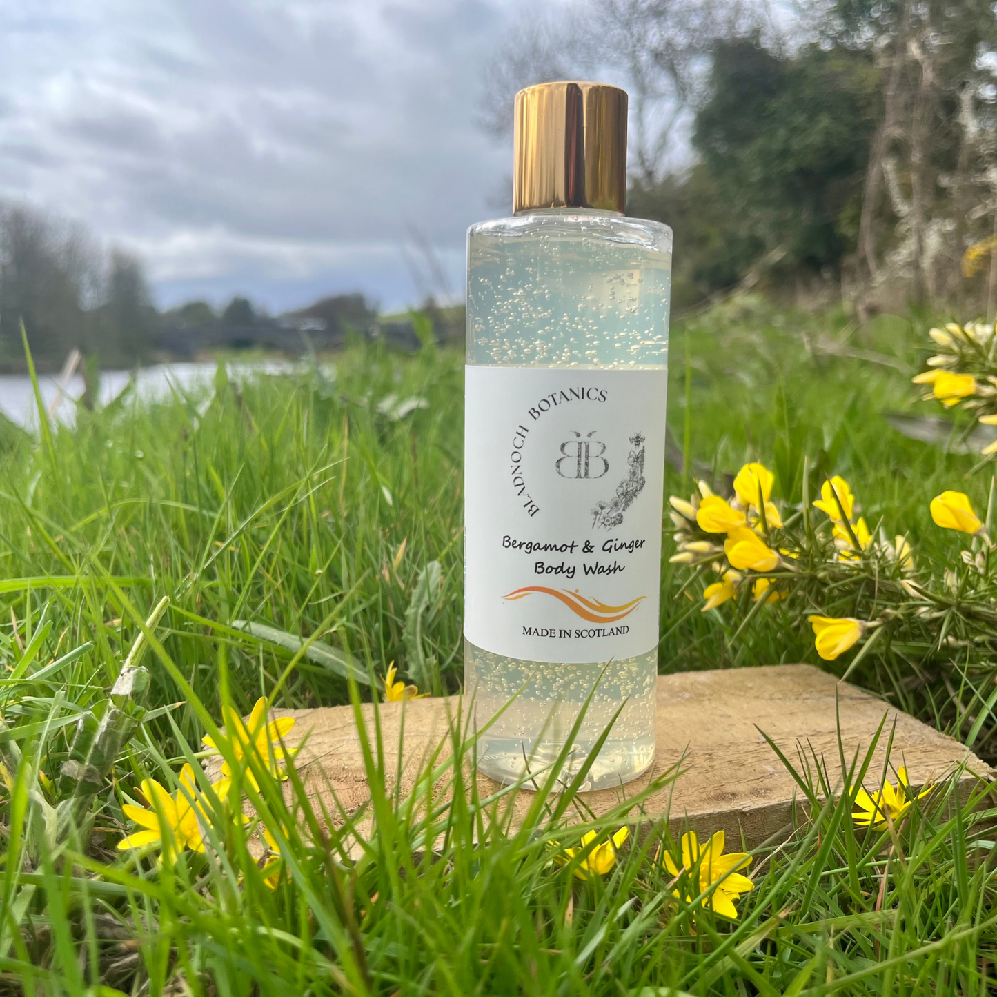 Bergamot & Ginger Body Wash