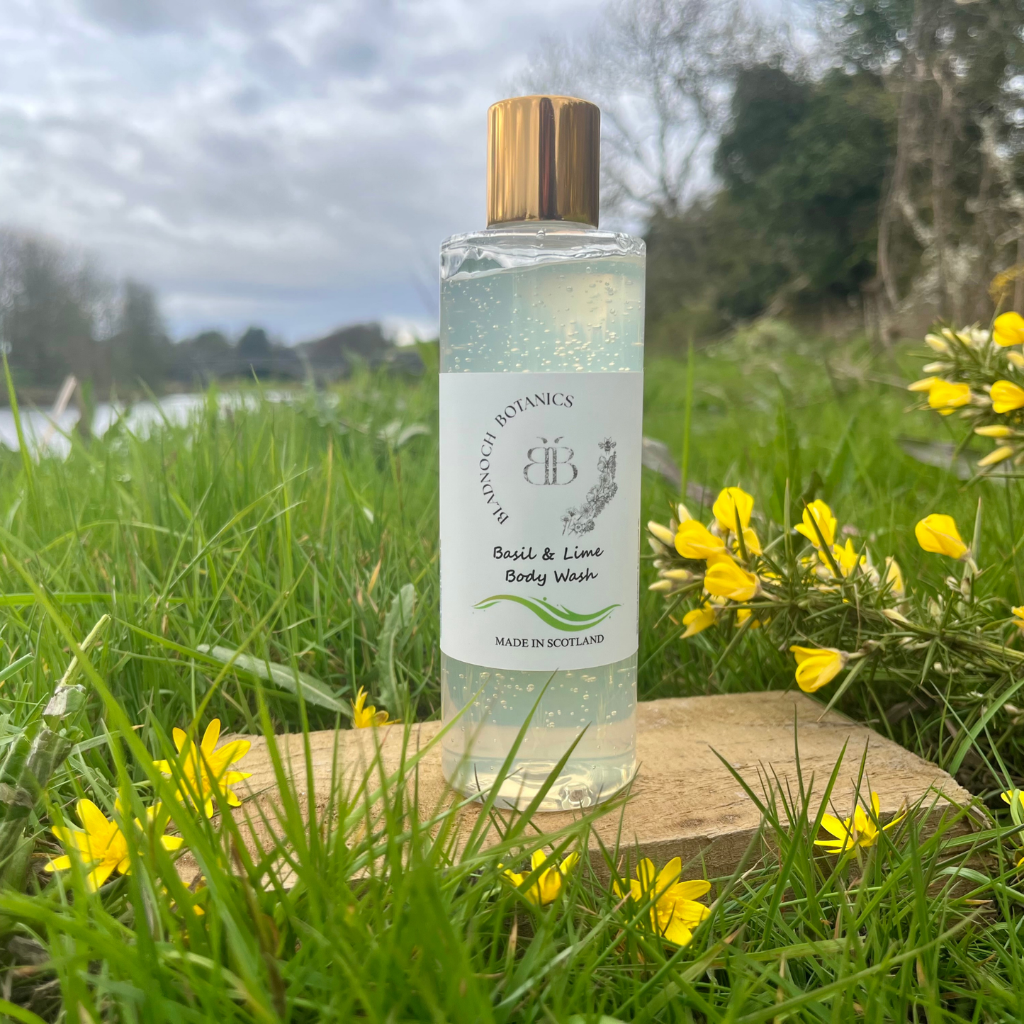 Basil & Lime Body Wash