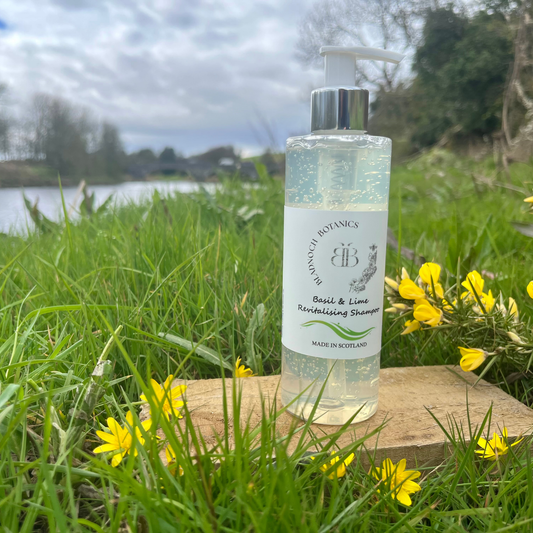 Basil & Lime Shampoo