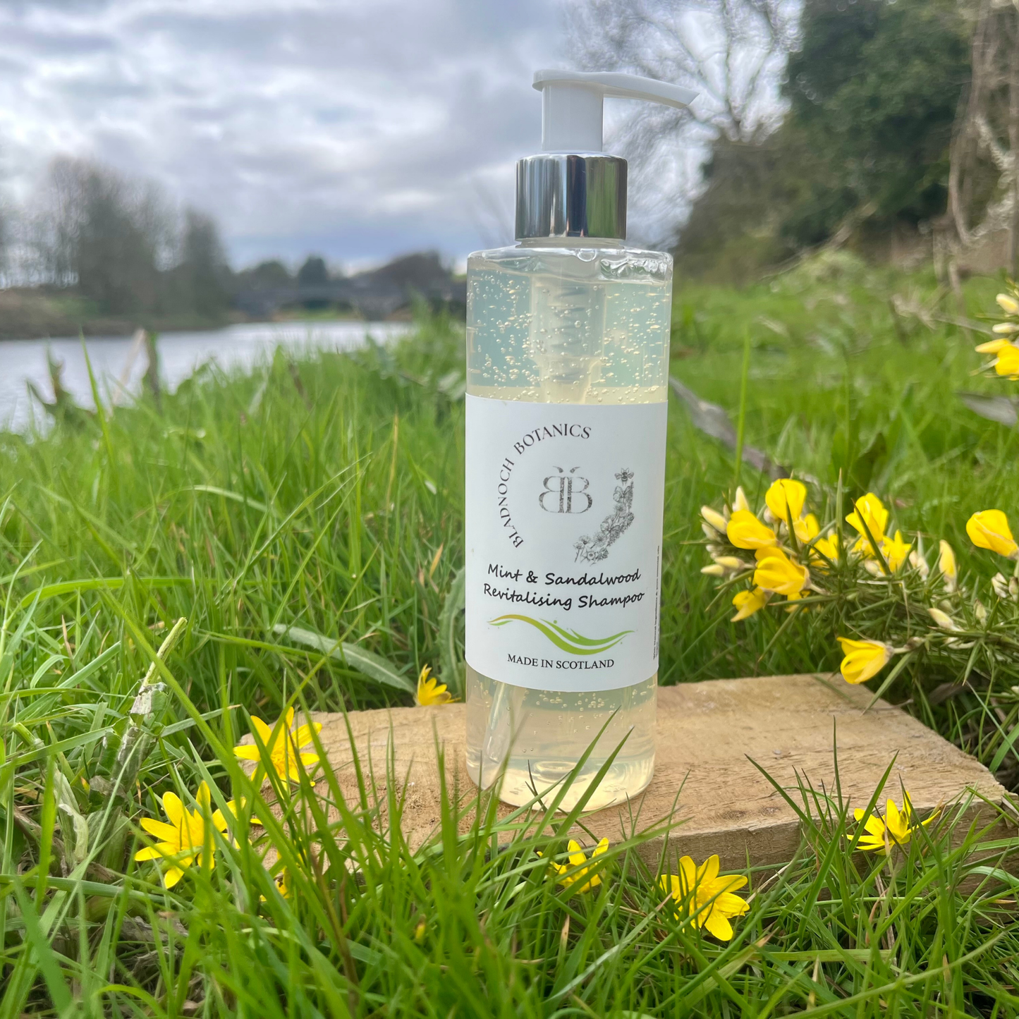 Mint & Sandalwood Shampoo