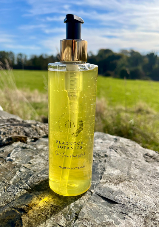 Scots Pine Hand Wash